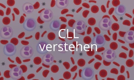 Online-Kurs CLL verstehen