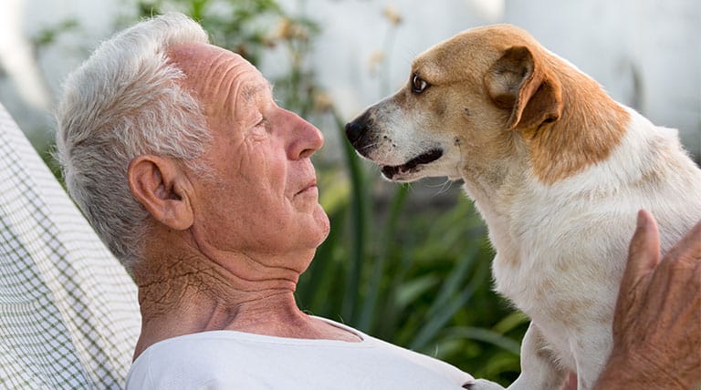 Tiergestützte-Therapie-Hunde-Therapie-Krebs-Rheuma-chronisch-Krank