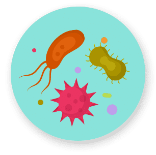 Icon Bakterien und Viren