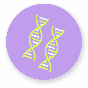 Icon DNA