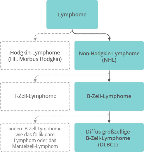 Was Ist Ein B Zell Lymphom Ein Facharzt Erklart Auf