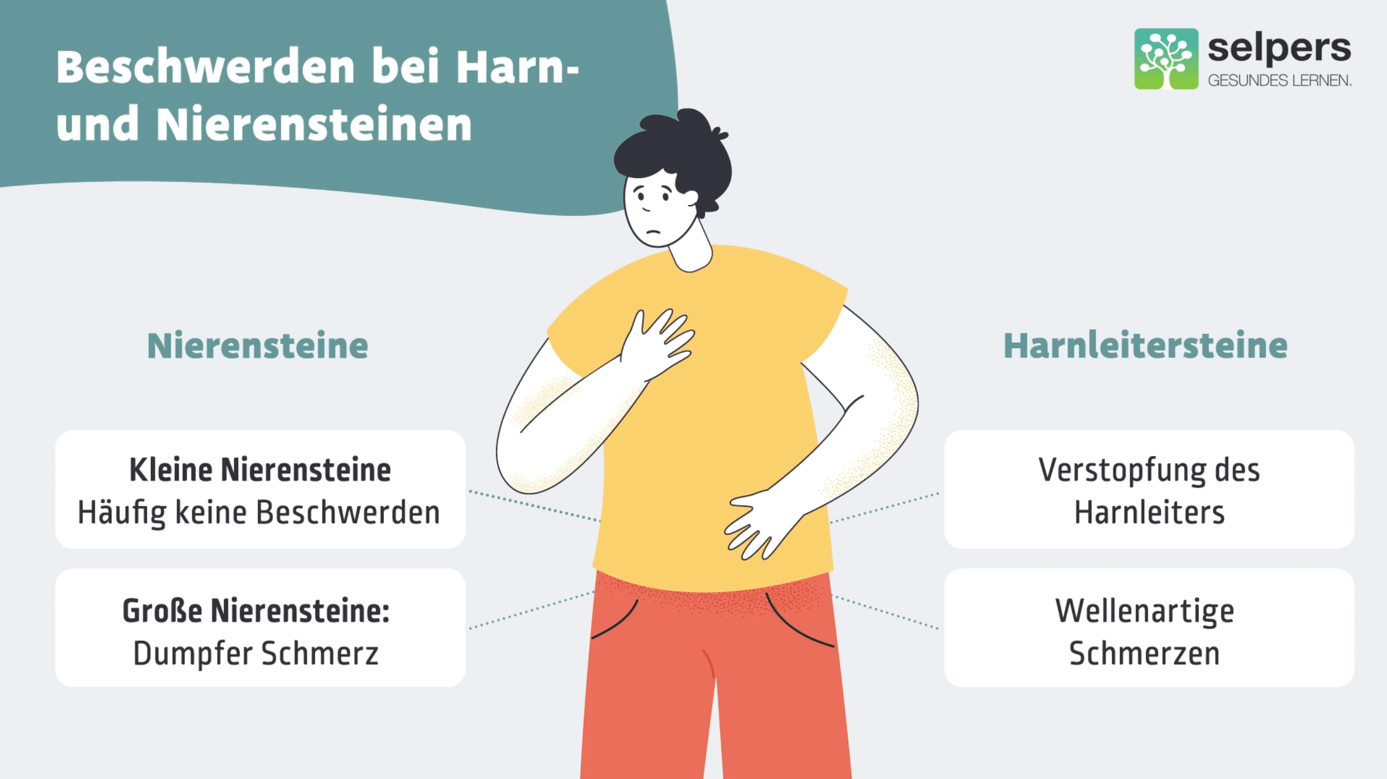 Harn- und Nierensteine verstehen Symptome Beschwerden
