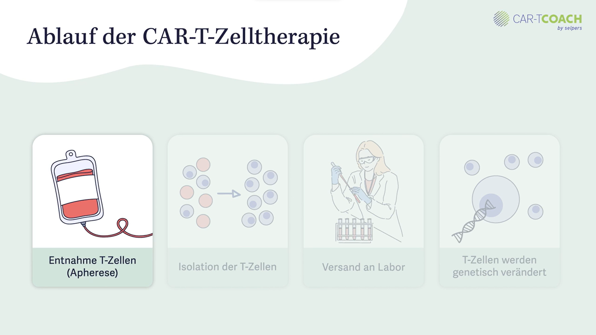 Ablauf der CAR-T-Zelltherapie: Apherese bis Labor