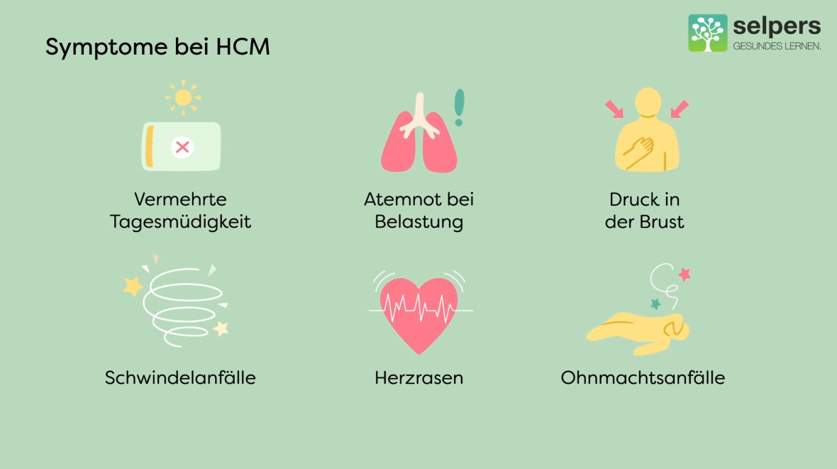 Symptome bei HCM: vermehrte Tagesmüdigkeit, Atemnot bei Belastung, Druck in der Brust, Schwindelanfälle, Herzrasen und Ohnmachtsanfälle.